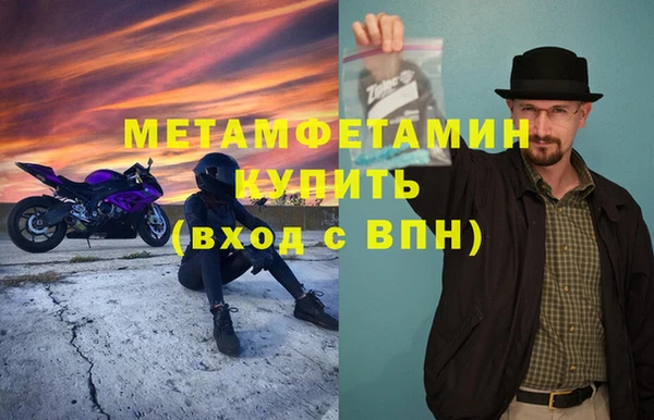 шишки Верея